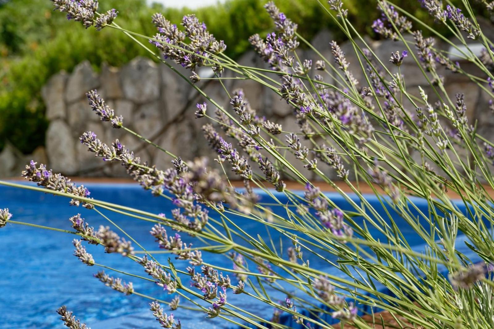 Apartman Gizdavac Villa