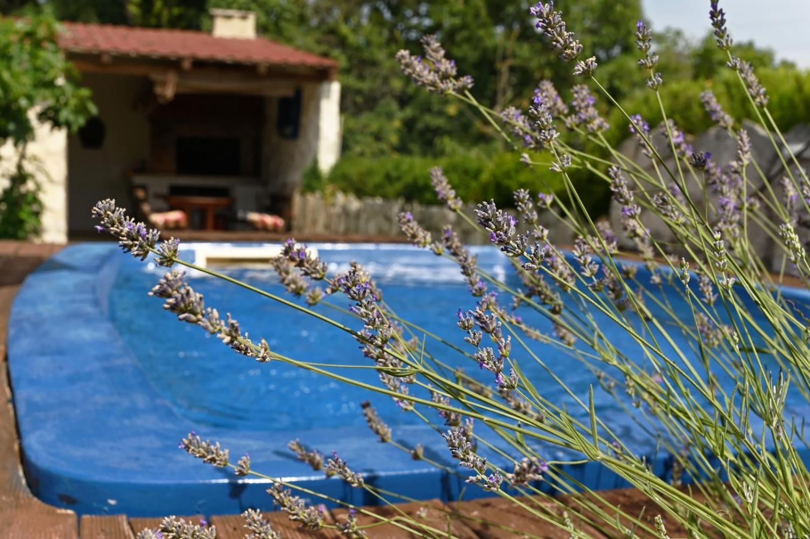Apartman Gizdavac * Gizdavac